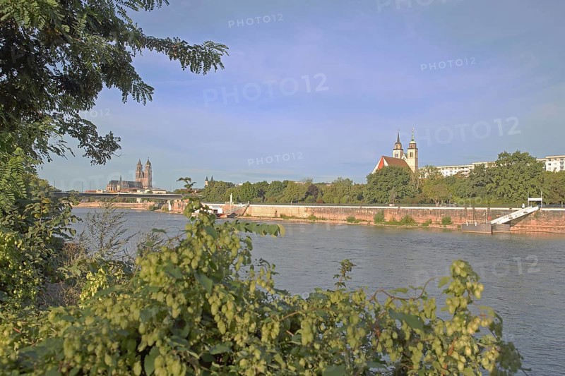 Cityscape with Gothic cathedral, New River Bridge and late Romanesque St. Johannis Church, church towers, banks of the Elbe, Elbe, Magdeburg Cathedral, St. Katharina, Magdeburg, Saxony-Anhalt, Germany