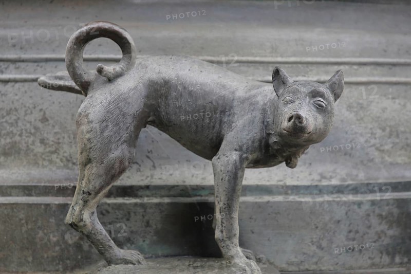 Detail with dog figure urinating at the Faun Fountain by Heinrich Apel 1986, holding one leg up, modern art, bronze sculpture, urinating, Devil's Fountain, Magdeburg, Saxony-Anhalt, Germany