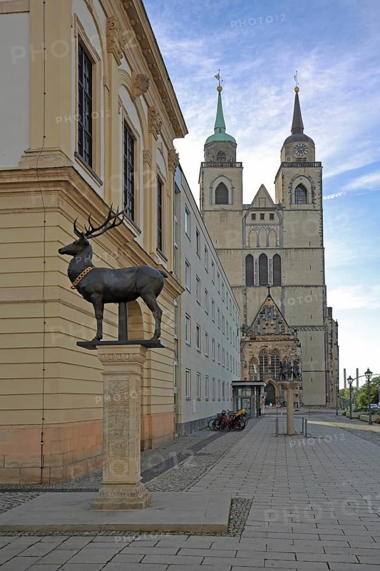 Stag column with stag statue and St John's Church, stag statue, Old Town Hall, Old Market Square, Magdeburg, Saxony-Anhalt, Germany