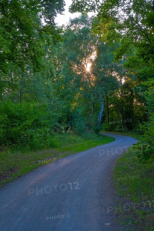 View along the cycle path along the Mittelland Canal Hanover Garbsen, Hanover, Lower Saxony, Germany