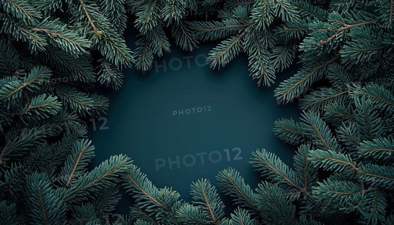 Botanical Trendy Ure With Frame: Dark Moody Fir Tree Overhead In Creative Nature Foliage Layout. Vintage Pine Plant Pattern For Winter Holiday, Xmas, And New Year, AI generated