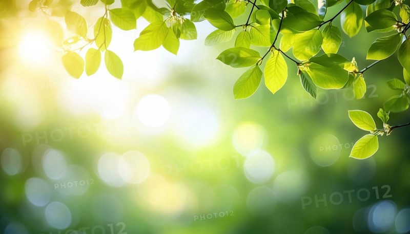 Springtime Bliss: Blurred Foliage And Sky With Bright Bokeh, Sunshine Filtering Through Green Trees, Abstract Summertime Scene With Defocused Lights, AI generated
