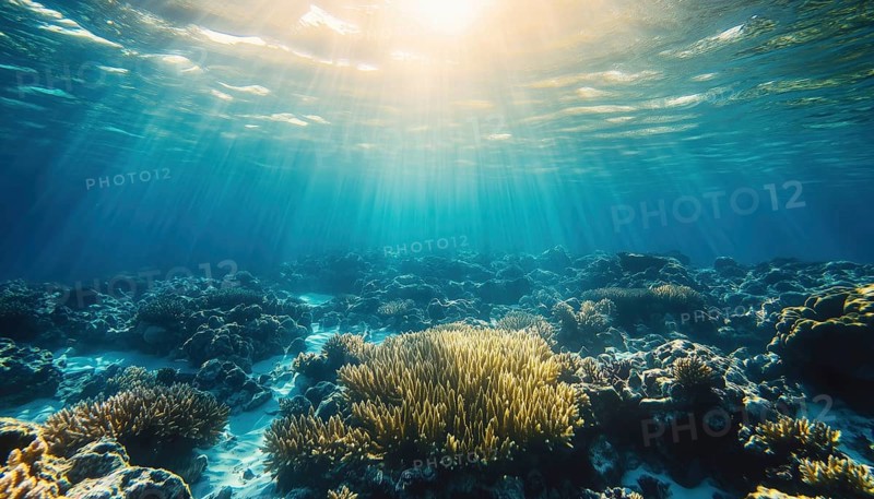 Exploring The Vibrant Underwater World Of The Maldives: Stunning Coral Reef, Crystal Clear Blue Water, And Thrilling Snorkeling Adventures Among Marine Wildlife, AI generated