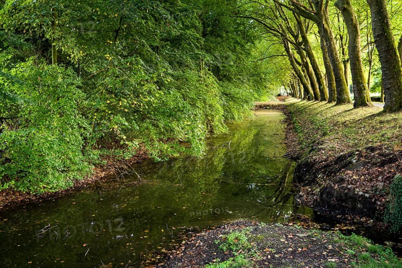 Tree-lined ditch, Senden Castle, Senden, North Rhine-Westphalia, Germany