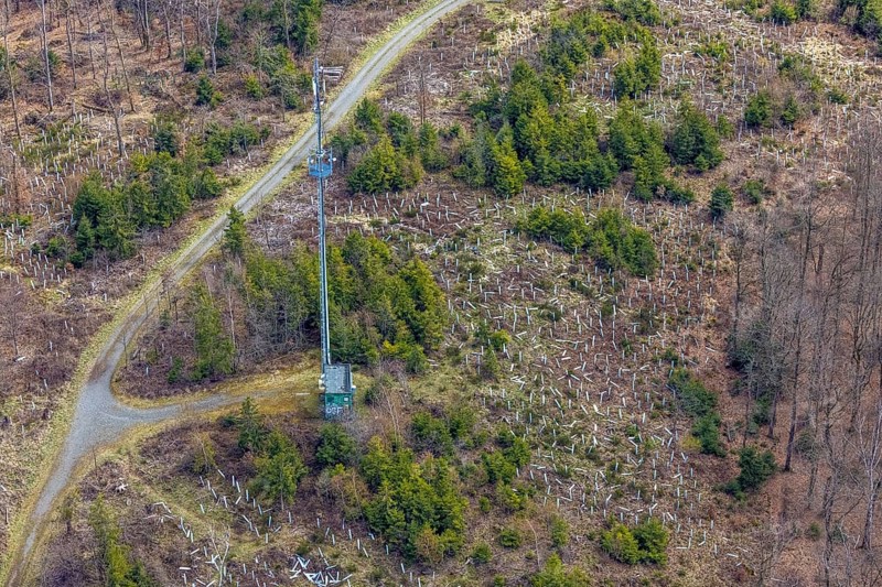 Aerial photograph, hiking trail on Häusling mountain with radio mast, protective sleeves for new plantings of tree saplings and young trees, Siegen-Häusling, Siegen, Siegerland, North Rhine-Westphalia, Germany, tree planting, DE, Europe, radio tower, hilly landscape, aerial photograph, aerial photography, aerial photography, circular hiking trail, broadcasting tower, overview, bite sleeves, bird's-eye view, forest, forest area, birds-eyes view, overview