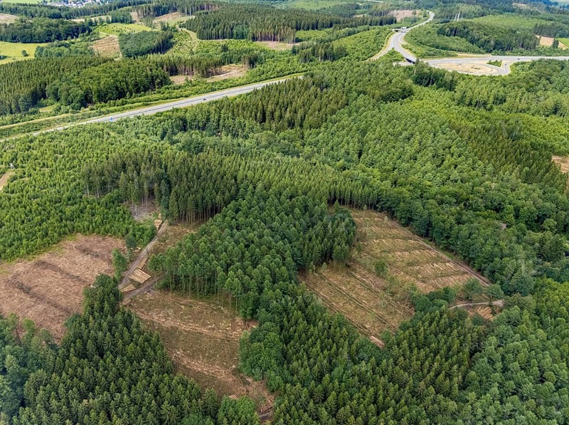Aerial view, forest area with forest damage, Schönau, Wenden, Sauerland, North Rhine-Westphalia, Germany, tree mortality, bark beetle damage, bark beetle plague, DE, Europe, clear-cutting, aerial view, aerial photography, aerial photography, overview, bird's-eye view, forest, forest damage, forest dieback, birds-eyes view, overview