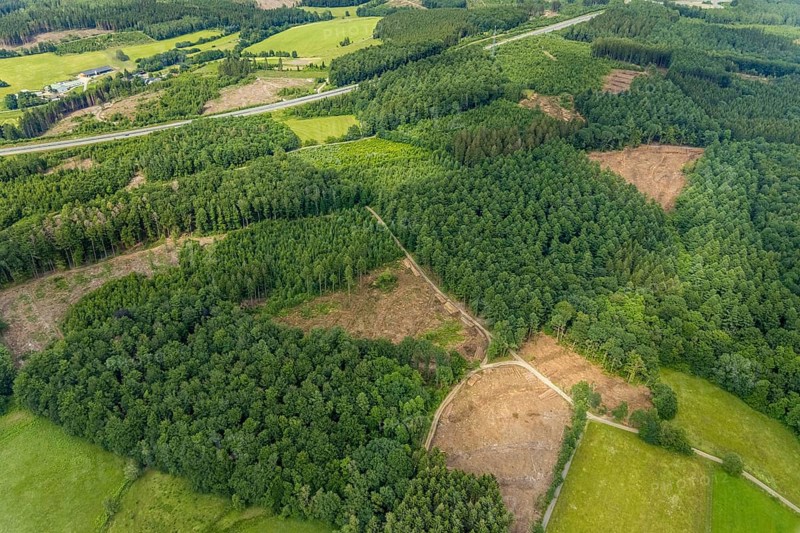 Aerial view, forest area with forest damage, Schönau, Wenden, Sauerland, North Rhine-Westphalia, Germany, tree mortality, bark beetle damage, bark beetle plague, DE, Europe, clear-cutting, aerial view, aerial photography, aerial photography, overview, bird's-eye view, forest, forest damage, forest dieback, birds-eyes view, overview