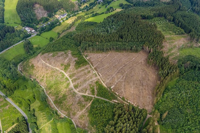Aerial view, forest area with forest damage, Gerlingen, Wenden, Sauerland, North Rhine-Westphalia, Germany, tree dieback, bark beetle damage, bark beetle plague, DE, Europe, clear-cutting, aerial photography, aerial photography, aerial photography, overview, bird's-eye view, forest, forest damage, forest dieback, birds-eyes view, overview