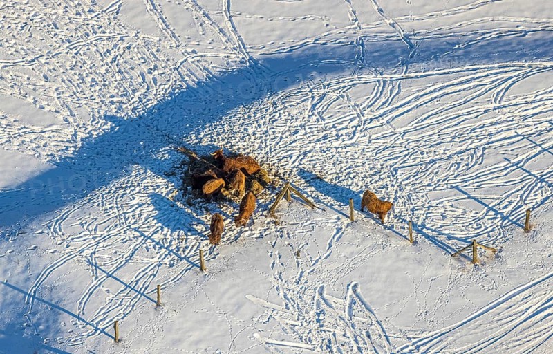 Aerial view, Sönnerbach and Salzbach, renaturalised railing, snow-covered, winter, Werl, Soester Börde, North Rhine-Westphalia, Germany, Soester, Börde, DE, Europe, birds-eyes, view, aerial photography, aerial photography, overview, overview, bird's eye view, Sönnerbach, Salzbach, renaturalisation, meadows, fields, snow