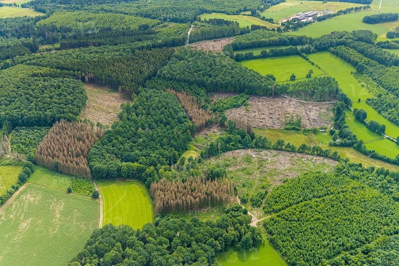 Aerial view, forest area with forest damage near Altenhof, Wenden, Sauerland, North Rhine-Westphalia, Germany, tree dieback, bark beetle damage, bark beetle plague, DE, Europe, spruce dieback, clear-cutting, aerial view, aerial photography, aerial photography, overview, bird's-eye view, forest, forest damage, forest dieback, birds-eyes view, overview