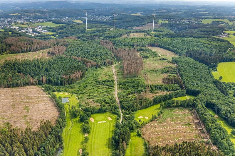 Aerial view, forest area with forest damage Dörnscheid, Ottfingen, Wenden, Sauerland, North Rhine-Westphalia, Germany, tree mortality, bark beetle damage, bark beetle plague, DE, Europe, clear-cutting, aerial photography, aerial photography, overview, bird's-eye view, forest, forest damage, forest dieback, birds-eyes view, overview