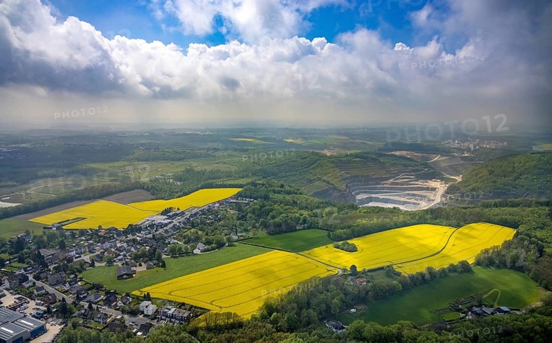 Aerial view, rape fields Rützkausen, limestone quarry Rohdenhaus, Velbert, Ruhr area, North Rhine-Westphalia, Germany, DE, Europe, aerial view, aerial photography, aerial photography, quarry, overview, bird's eye view, birds-eyes view, overview