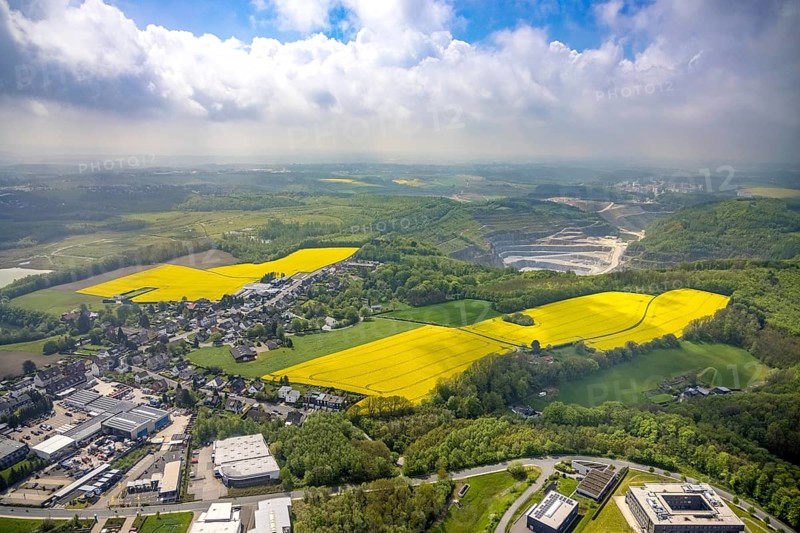 Aerial view, rape fields Rützkausen, limestone quarry Rohdenhaus, Velbert, Ruhr area, North Rhine-Westphalia, Germany, DE, Europe, aerial view, aerial photography, aerial photography, quarry, overview, bird's eye view, birds-eyes view, overview