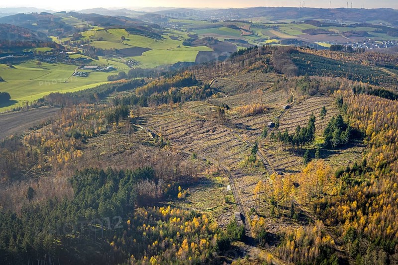 Aerial view, forest area with forest damage in the district of Amecke in Sundern, Sauerland, North Rhine-Westphalia, Germany, tree death, bark beetle damage, bark beetle plague, DE, Europe, spruce death, clear-cutting, aerial view, aerial photography, aerial photography, Sundern, overview, bird's eye view, forest, forest damage, forest dieback, birds-eyes view, overview