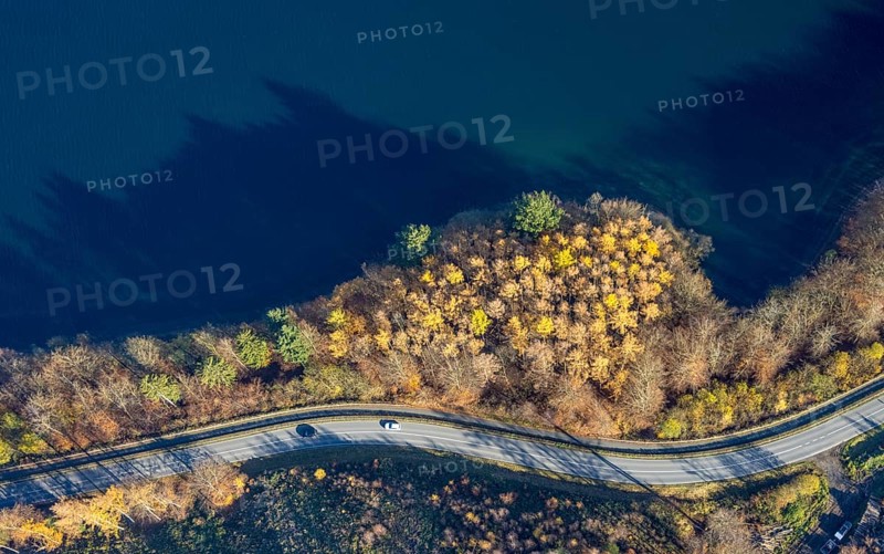 Aerial view, Shoreline forest area shapes and colours at the Sorpe lake in the district Amecke in Sundern, Sauerland, North Rhine-Westphalia, Germany, DE, Europe, shapes and colours, aerial view, aerial photography, aerial photography, Sorpe dam, reservoir, Sundern, dam, overview, shore area, bird's eye view, birds-eyes view, overview
