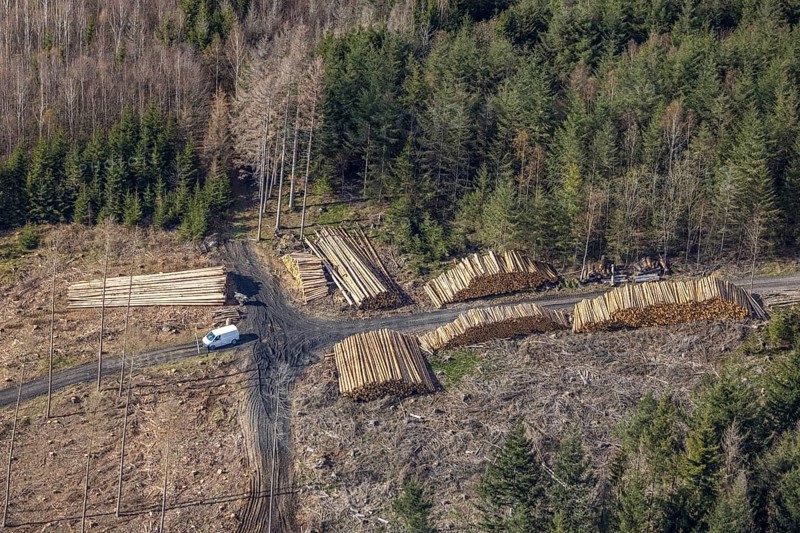 Aerial photo, forest damage in the forest area near Hachen, Sundern, Sauerland, North Rhine-Westphalia, Germany, tree dieback, DE, Europe, aerial photo, aerial photography, aerial photography, overview, bird's eye view, forest, forest area, forest damage, forest dieback, birds-eyes view, overview, spruce dieback, bark beetle plague, bark beetle damage, dead spruce, spruce clear-cut, clear-cutting, damaged wood