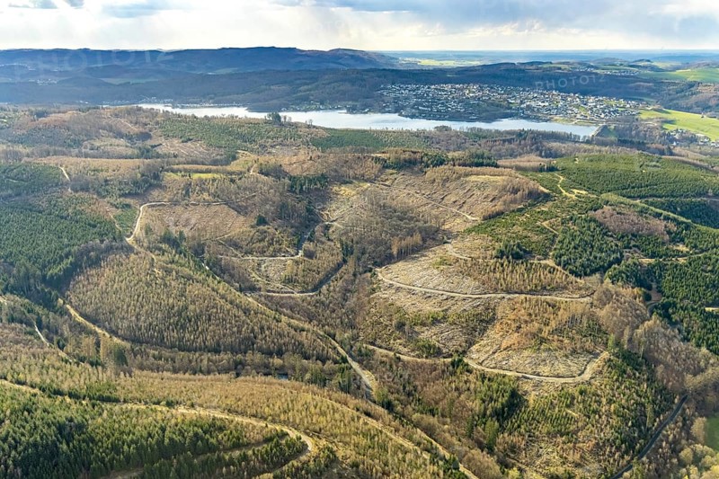 Aerial photo, forest damage in the forest area at Lake Sorpe, Höhenweg, Hachen, Sundern, Sauerland, North Rhine-Westphalia, Germany, tree death, DE, Europe, aerial photo, aerial photography, aerial photography, lake, Sorpe dam, overview, bird's-eye view, forest, forest area, forest damage, forest death, birds-eyes view, overview, spruce death, bark beetle plague, bark beetle damage, dead spruce, spruce clear-cut, clear-cutting, damaged wood
