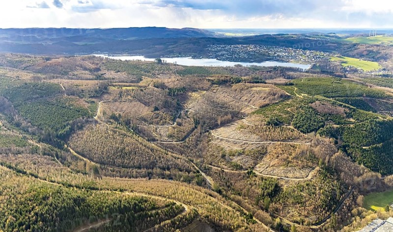 Aerial photo, forest damage in the forest area at Lake Sorpe, Höhenweg, Hachen, Sundern, Sauerland, North Rhine-Westphalia, Germany, tree death, DE, Europe, aerial photo, aerial photography, aerial photography, lake, Sorpe dam, overview, bird's-eye view, forest, forest area, forest damage, forest death, birds-eyes view, overview, spruce death, bark beetle plague, bark beetle damage, dead spruce, spruce clear-cut, clear-cutting, damaged wood