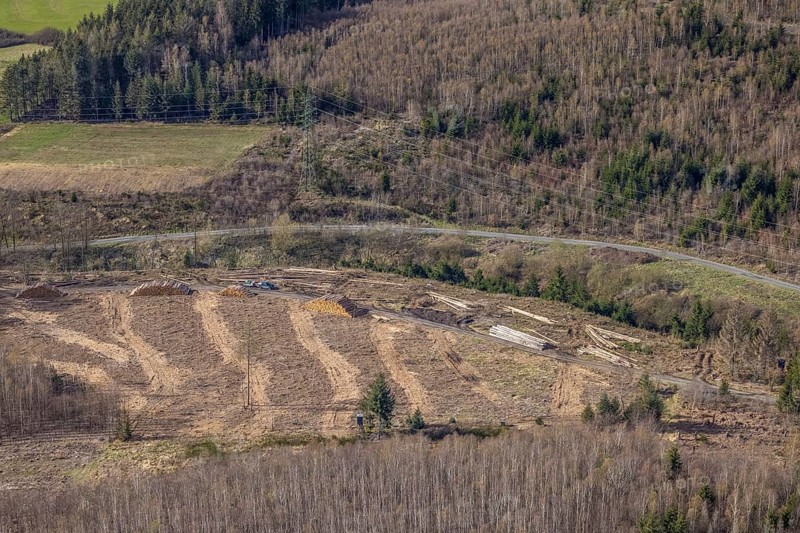 Aerial photo, forest damage in the forest area near Hachen, Sundern, Sauerland, North Rhine-Westphalia, Germany, tree dieback, DE, Europe, aerial photo, aerial photography, aerial photography, overview, bird's eye view, forest, forest area, forest damage, forest dieback, birds-eyes view, overview, spruce dieback, bark beetle plague, bark beetle damage, dead spruce, spruce clear-cut, clear-cutting, damaged wood
