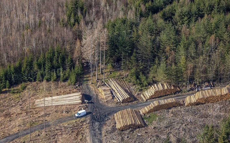 Aerial photo, forest damage in the forest area near Hachen, Sundern, Sauerland, North Rhine-Westphalia, Germany, tree dieback, DE, Europe, aerial photo, aerial photography, aerial photography, overview, bird's eye view, forest, forest area, forest damage, forest dieback, birds-eyes view, overview, spruce dieback, bark beetle plague, bark beetle damage, dead spruce, spruce clear-cut, clear-cutting, damaged wood
