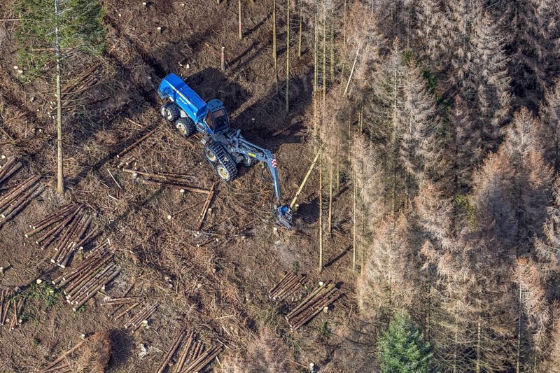 Aerial view, forest damage in forest area with harvester near Hellefeld, Westenfeld, Sundern, Sauerland, North Rhine-Westphalia, Germany, tree mortality, DE, Europe, shapes and colours, harvester, timber harvesting machine, timber harvester, crane harvester, aerial view, aerial photography, aerial photography, overview, bird's-eye view, forest, forest area, forest damage, forest dieback, forest harvester, birds-eyes view, overview, spruce dieback, bark beetle plague, bark beetle damage, dead spruce, spruce clear-cut, clear-cutting, damaged wood