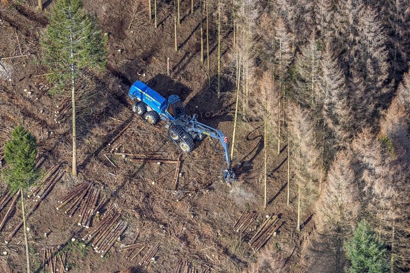 Aerial view, forest damage in forest area with harvester near Hellefeld, Westenfeld, Sundern, Sauerland, North Rhine-Westphalia, Germany, tree mortality, DE, Europe, shapes and colours, harvester, timber harvesting machine, timber harvester, crane harvester, aerial view, aerial photography, aerial photography, overview, bird's-eye view, forest, forest area, forest damage, forest dieback, forest harvester, birds-eyes view, overview, spruce dieback, bark beetle plague, bark beetle damage, dead spruce, spruce clear-cut, clear-cutting, damaged wood