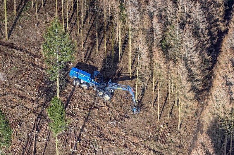 Aerial view, forest damage in forest area with harvester near Hellefeld, Westenfeld, Sundern, Sauerland, North Rhine-Westphalia, Germany, tree mortality, DE, Europe, shapes and colours, harvester, timber harvesting machine, timber harvester, crane harvester, aerial view, aerial photography, aerial photography, overview, bird's-eye view, forest, forest area, forest damage, forest dieback, forest harvester, birds-eyes view, overview, spruce dieback, bark beetle plague, bark beetle damage, dead spruce, spruce clear-cut, clear-cutting, damaged wood