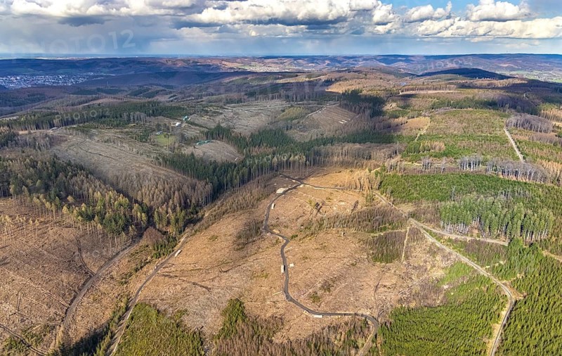 Aerial photo, forest damage in the forest area near Hellefeld, Westenfeld, Sundern, Sauerland, North Rhine-Westphalia, Germany, tree dieback, DE, Europe, aerial photo, aerial photography, aerial photography, overview, bird's eye view, forest, forest area, forest damage, forest dieback, birds-eyes view, overview, spruce dieback, bark beetle plague, bark beetle damage, dead spruce, spruce clear-cut, clear-cutting, damaged wood