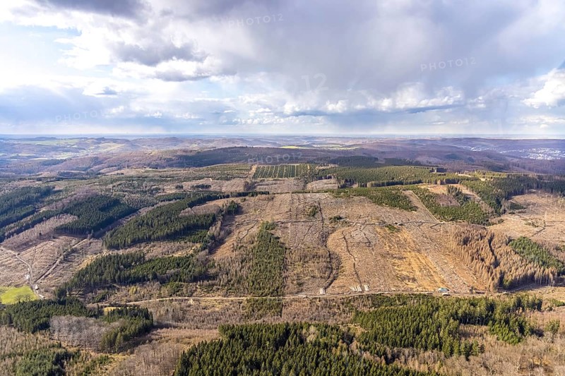 Aerial photo, forest damage in the forest area near Hellefeld, Westenfeld, Sundern, Sauerland, North Rhine-Westphalia, Germany, tree dieback, DE, Europe, aerial photo, aerial photography, aerial photography, overview, bird's eye view, forest, forest area, forest damage, forest dieback, birds-eyes view, overview, spruce dieback, bark beetle plague, bark beetle damage, dead spruce, spruce clear-cut, clear-cutting, damaged wood