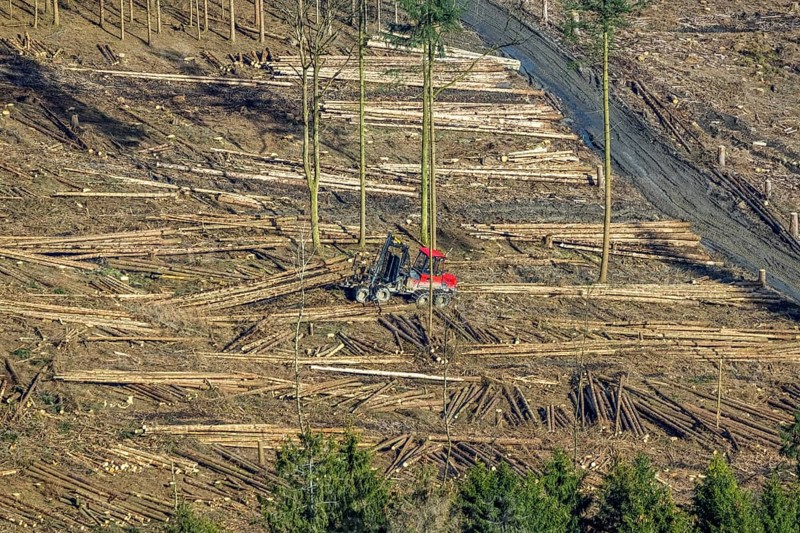 Aerial view, forest damage in forest area with harvester near Hellefeld, Westenfeld, Sundern, Sauerland, North Rhine-Westphalia, Germany, tree mortality, DE, Europe, harvester, timber harvesting machine, timber harvester, crane harvester, aerial view, aerial photography, aerial photography, overview, bird's-eye view, forest, forest area, forest damage, forest dieback, forest harvester, birds-eyes view, overview, spruce dieback, bark beetle plague, bark beetle damage, dead spruce, spruce clear-cut, clear-cutting, damaged wood