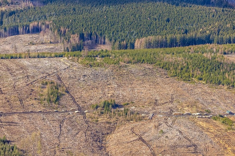 Aerial photo, forest damage in the forest area near Hellefeld, Westenfeld, Sundern, Sauerland, North Rhine-Westphalia, Germany, tree dieback, DE, Europe, aerial photo, aerial photography, aerial photography, overview, bird's eye view, forest, forest area, forest damage, forest dieback, birds-eyes view, overview, spruce dieback, bark beetle plague, bark beetle damage, dead spruce, spruce clear-cut, clear-cutting, damaged wood