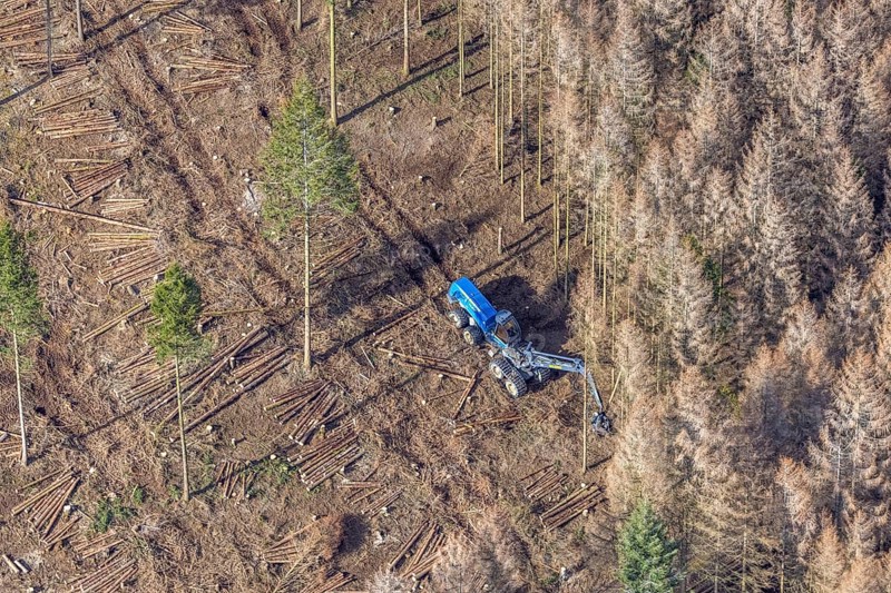 Aerial view, forest damage in forest area with harvester near Hellefeld, Westenfeld, Sundern, Sauerland, North Rhine-Westphalia, Germany, tree mortality, DE, Europe, shapes and colours, harvester, timber harvesting machine, timber harvester, crane harvester, aerial view, aerial photography, aerial photography, overview, bird's-eye view, forest, forest area, forest damage, forest dieback, forest harvester, birds-eyes view, overview, spruce dieback, bark beetle plague, bark beetle damage, dead spruce, spruce clear-cut, clear-cutting, damaged wood