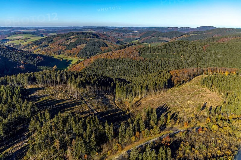 Aerial view, forest area with forest damage in the district Oberrarbach in Schmallenberg, Sauerland, North Rhine-Westphalia, Germany, tree dieback, bark beetle damage, bark beetle plague, DE, Europe, spruce dieback, clear-cutting, aerial view, aerial photography, aerial photography, Schmallenberg, overview, bird's eye view, forest, forest damage, forest dieback, birds-eyes view, overview