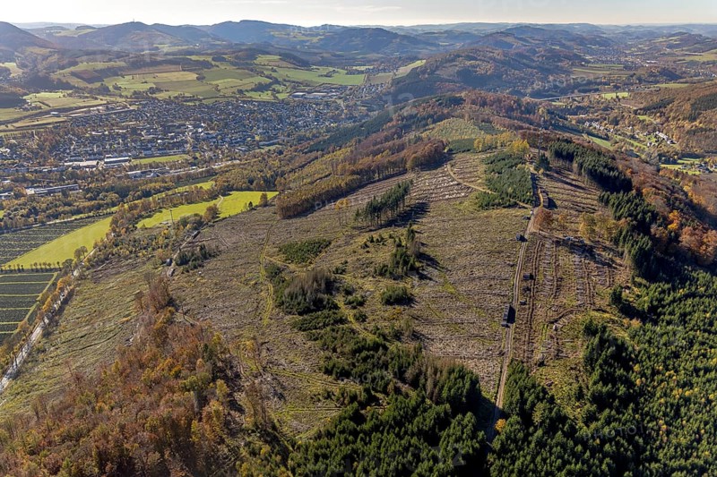 Aerial photograph, forest area with forest damage in the Bigge district of Olsberg, Sauerland, North Rhine-Westphalia, Germany, tree death, bark beetle damage, bark beetle plague, DE, Europe, spruce death, clear-cutting, aerial photograph, aerial photography, aerial photography, Olsberg, overview, bird's-eye view, forest, forest damage, forest dieback, birds-eyes view, overview