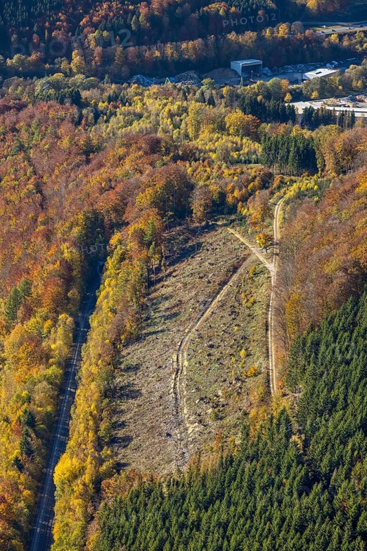 Luftbild, Waldgebiet mit Waldschäden im Ortsteil Bigge in Olsberg, Sauerland, Nordrhein-Westfalen, Deutschland, Baumsterben, BorkenkäferSchäden, Borkenkäferplage, DE, Europa, Fichtensterben, Kahlschlag, Luftaufnahme, Luftbildfotografie, Luftfotografie, Olsberg, Übersicht, Vogelperspektive, Wald, Waldschaden, Waldschäden, Waldsterben, birds-eyes view, overview
