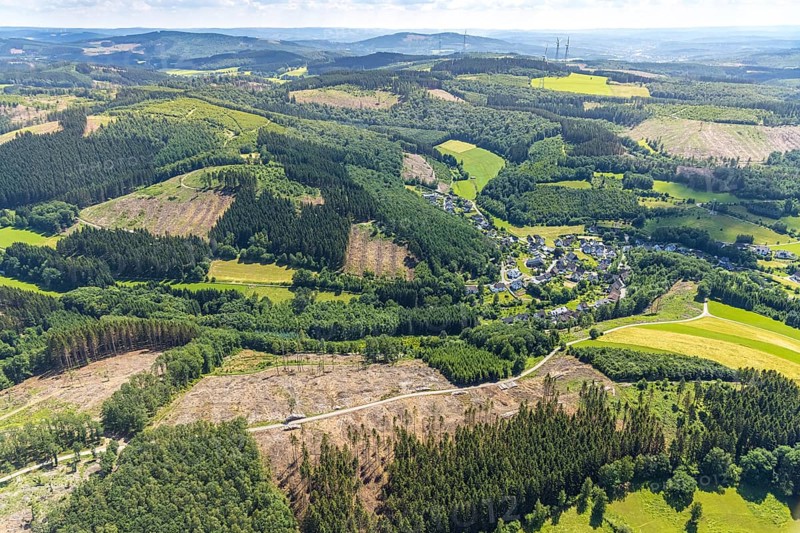 Aerial view, forest area with forest damage and clear cutting, Neuenkleusheimer Wald, Rehringhausen, Olpe, Sauerland, North Rhine-Westphalia, Germany, tree dieback, bark beetle damage, bark beetle plague, DE, drought, Europe, distant view, spruce dieback, clear cutting, aerial view, aerial photography, aerial photography, drought, overview, bird's-eye view, forest, forest area, forest damage, forest dieback, water shortage, birds-eyes view, overview
