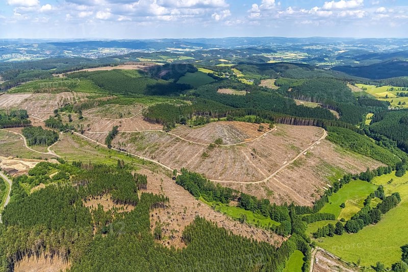 Aerial view, forest area with forest damage and clear cutting, Oberveischede, Olpe, Sauerland, North Rhine-Westphalia, Germany, waste, tree death, bark beetle plague, DE, drought, Europe, spruce dieback, hilly landscape, clear cutting, clear cutting, aerial photograph, aerial photography, aerial photography, Neuenwald, drought, overview, bird's eye view, forest, forest area, forest damage, forest damage, forest dieback, lack of water, birds-eyes view, overview