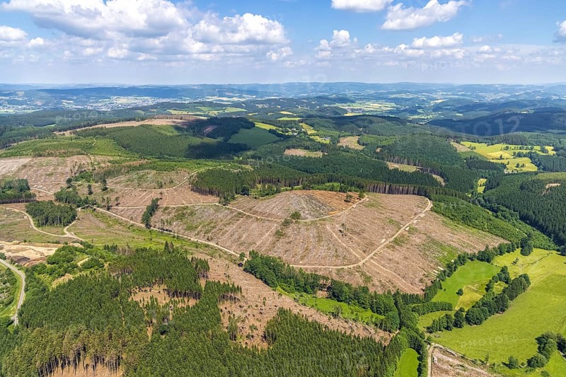Aerial view, forest area with forest damage and clear cutting, Oberveischede, Olpe, Sauerland, North Rhine-Westphalia, Germany, waste, tree death, bark beetle plague, DE, drought, Europe, spruce dieback, hilly landscape, clear cutting, clear cutting, aerial photograph, aerial photography, aerial photography, Neuenwald, drought, overview, bird's eye view, forest, forest area, forest damage, forest damage, forest dieback, lack of water, birds-eyes view, overview