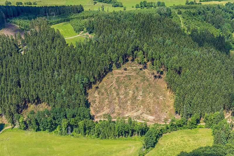 Aerial view, forest area with forest damage in Oberveischede, Olpe, Sauerland, North Rhine-Westphalia, Germany, tree death, tree trunks, bark beetle plague, DE, drought, Europe, spruce dieback, clear-cutting, aerial view, aerial photography, aerial photography, drought, overview, bird's eye view, forest, forest area, forest damage, forest dieback, lack of water, birds-eyes view, overview