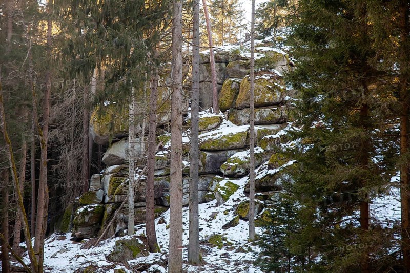 Snow-covered rocks in a wooded area with tall trees, Kamptal Waldviertel Lower Austria Austria