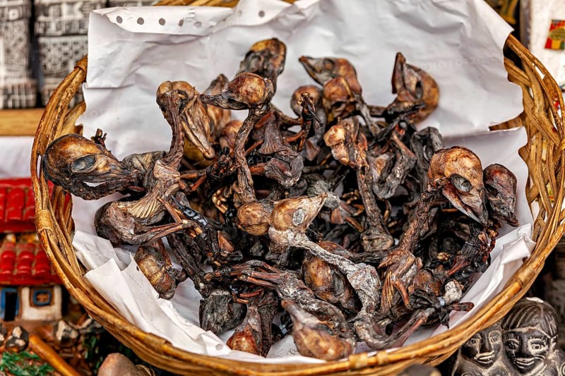A basket full of dried birds is offered as a souvenir at a market stall, The witches' market in La Paz, Bolivia