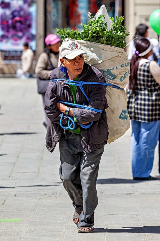 A man carries a large bag of herbs on a sunny city street, A man carries a heavy basket through the streets of La Paz, Bolivia
