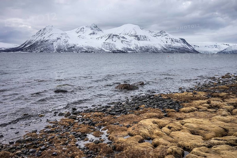 Norway tromsö snow mountains sea