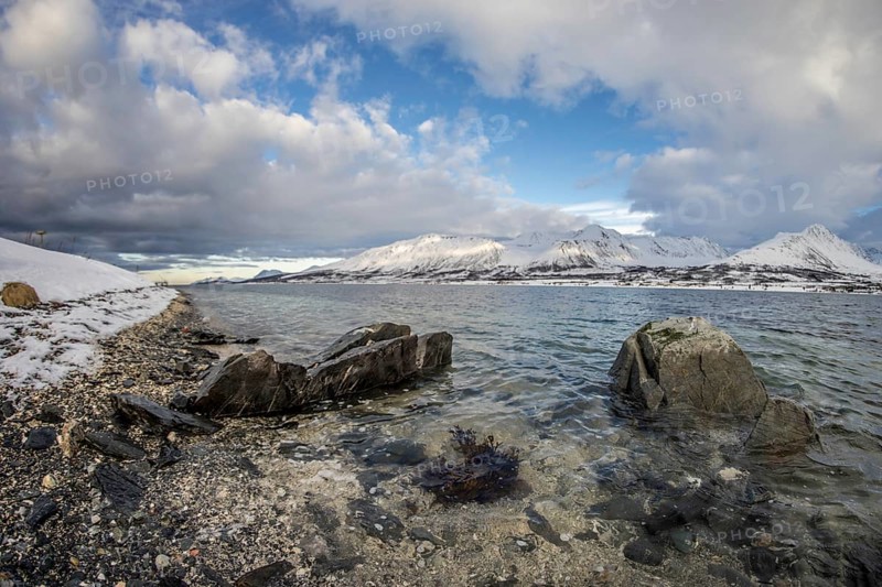 Norway tromsö snow mountains sea