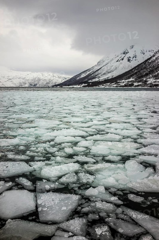 Norway tromsö ice floes ice winter cold mountains
