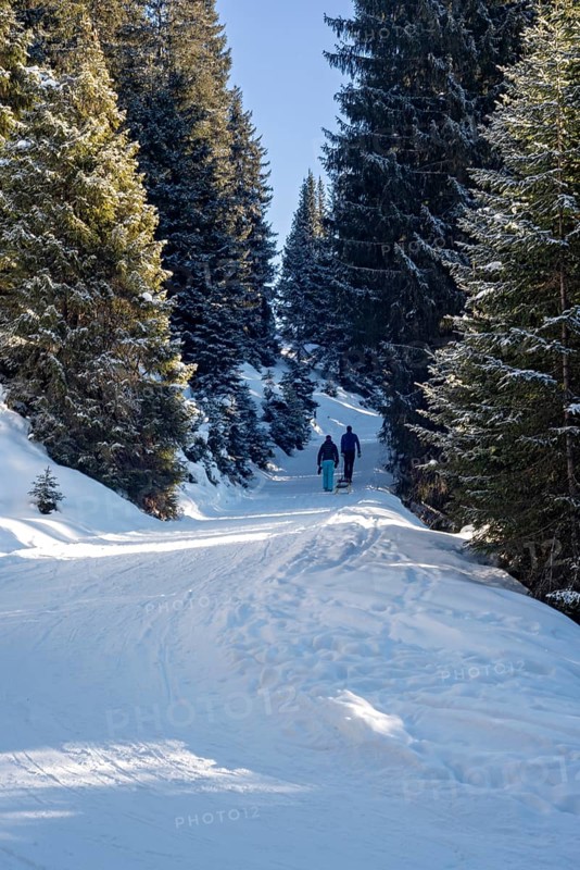 Two tobogganists on the ascent, toboggan run, Tyrol, Austria
