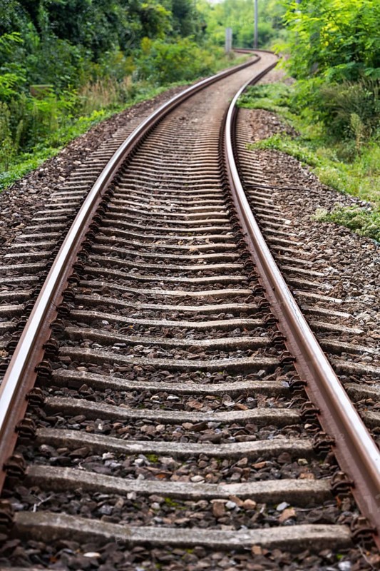 A lonely railway track winds its way through a green, overgrown landscape, 400-year-old avenue of lime trees Ladendorf Weinviertel Lower Austria Austria