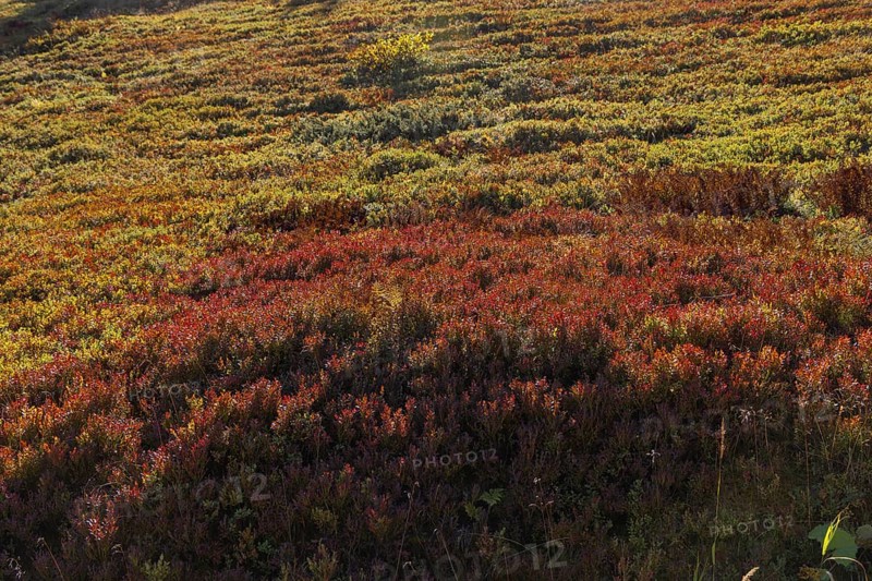 Landscape panorama, Hochkönig, Mountains, Salzburg, Autumnal