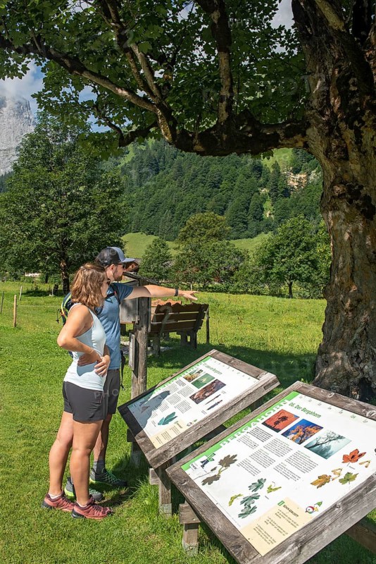 Hikers study a board on the themed trail to Almdorf Eng, Model: Elena Bonapace and Michael Stöckl, Hinterriss, Tyrol, Austria