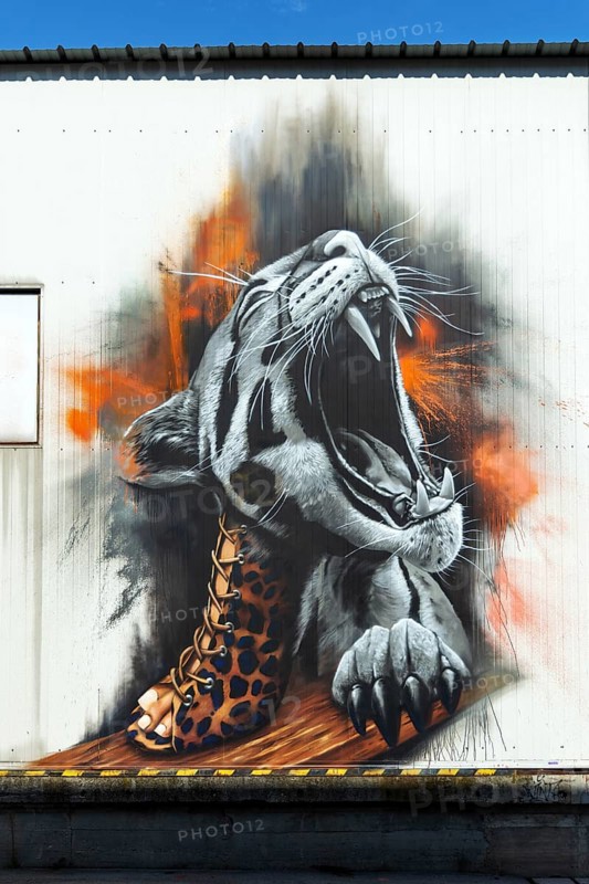 Realistic graffiti of a roaring leopard on the outside wall of a building, at the harbour of Linz Upper Austria Austria
